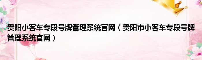 贵阳小客车专段号牌管理系统官网（贵阳市小客车专段号牌管理系统官网）