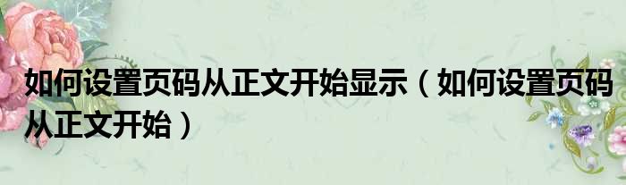 如何设置页码从正文开始显示（如何设置页码从正文开始）