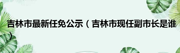 吉林市最新任免公示（吉林市现任副市长是谁）