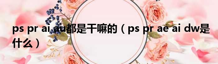 ps pr ai au都是干嘛的（ps pr ae ai dw是什么）