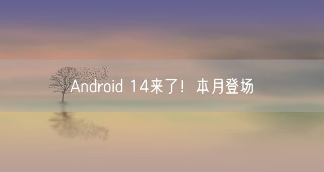 Android 14来了！本月登场