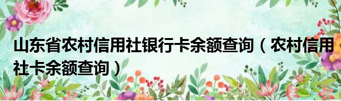 山东省农村信用社银行卡余额查询（农村信用社卡余额查询）