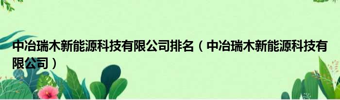 中冶瑞木新能源科技有限公司排名（中冶瑞木新能源科技有限公司）