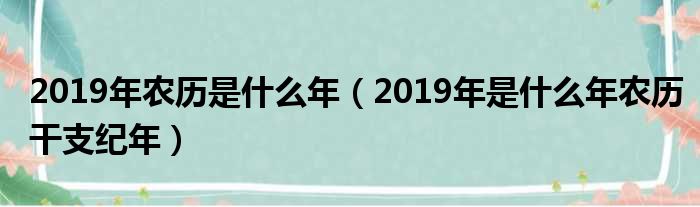 2019年农历是什么年（2019年是什么年农历干支纪年）