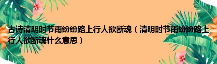 古诗清明时节雨纷纷路上行人欲断魂（清明时节雨纷纷路上行人欲断魂什么意思）