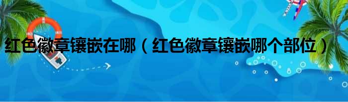 红色徽章镶嵌在哪（红色徽章镶嵌哪个部位）