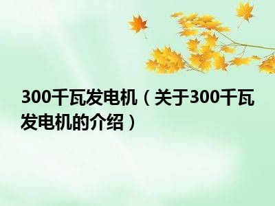 300千瓦发电机（关于300千瓦发电机的介绍）