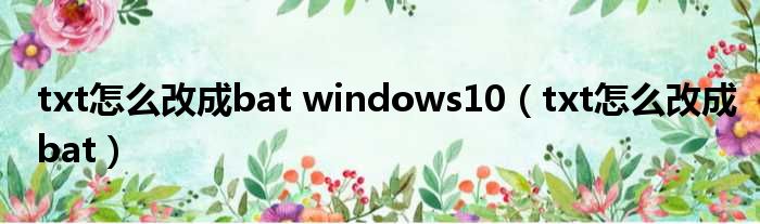 txt怎么改成bat windows10（txt怎么改成bat）