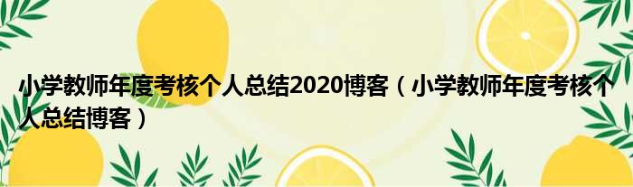 小学教师年度考核个人总结2020博客（小学教师年度考核个人总结博客）