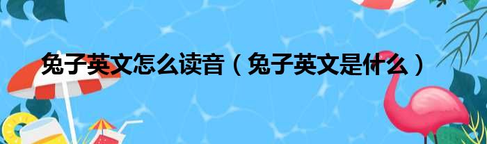 兔子英文怎么读音（兔子英文是什么）