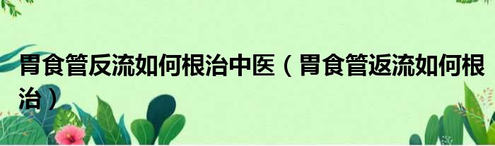 胃食管反流如何根治中医（胃食管返流如何根治）