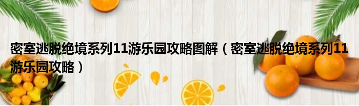 密室逃脱绝境系列11游乐园攻略图解（密室逃脱绝境系列11游乐园攻略）