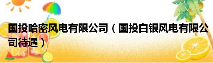 国投哈密风电有限公司（国投白银风电有限公司待遇）