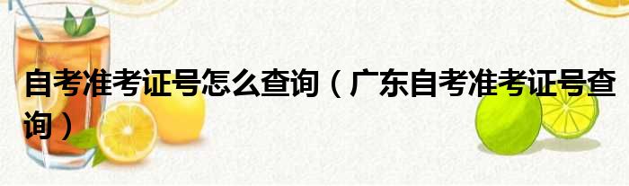 自考准考证号怎么查询（广东自考准考证号查询）