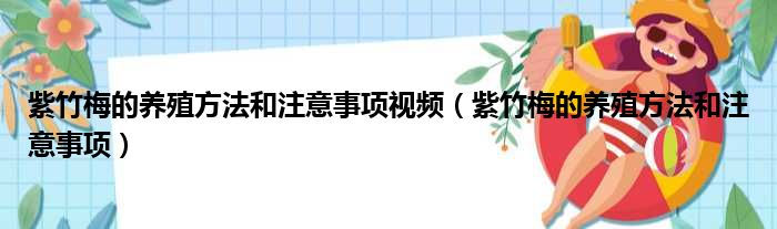 紫竹梅的养殖方法和注意事项视频（紫竹梅的养殖方法和注意事项）