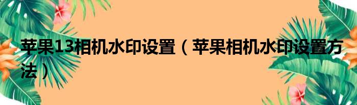 苹果13相机水印设置（苹果相机水印设置方法）