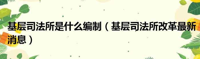 基层司法所是什么编制（基层司法所改革最新消息）