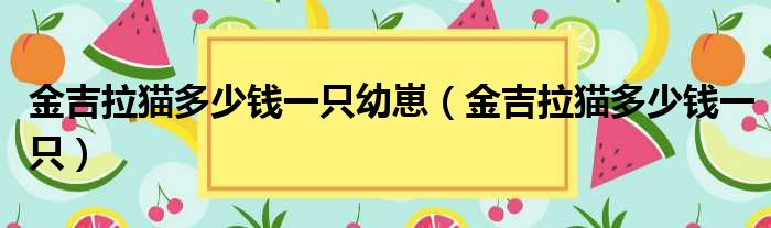 金吉拉猫多少钱一只幼崽（金吉拉猫多少钱一只）