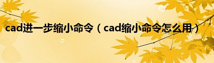 cad进一步缩小命令（cad缩小命令怎么用）