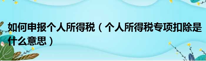 如何申报个人所得税（个人所得税专项扣除是什么意思）