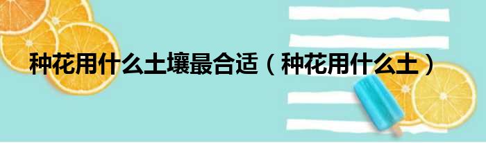 种花用什么土壤最合适（种花用什么土）