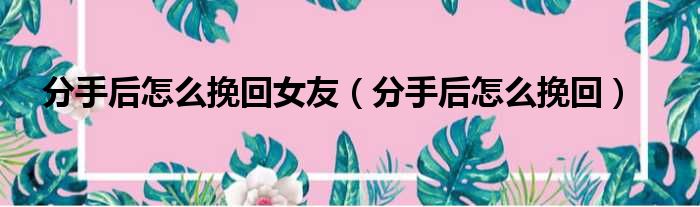 分手后怎么挽回女友（分手后怎么挽回）