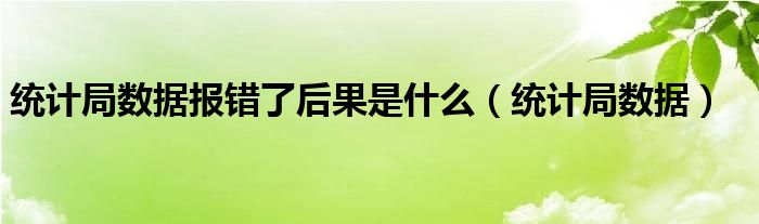 统计局数据报错了后果是什么（统计局数据）