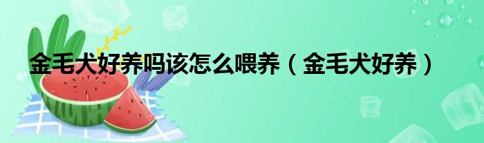 金毛犬好养吗该怎么喂养（金毛犬好养）