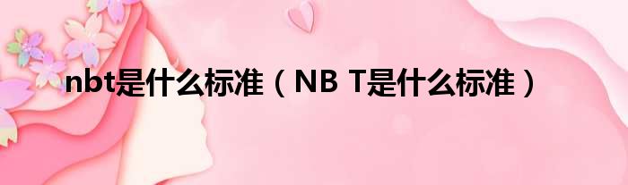 nbt是什么标准（NB T是什么标准）