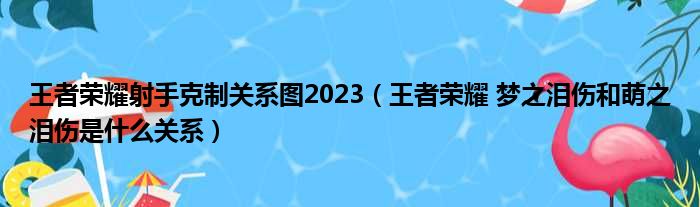 王者荣耀射手克制关系图2023（王者荣耀 梦之泪伤和萌之泪伤是什么关系）