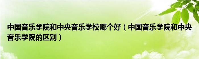 中国音乐学院和中央音乐学校哪个好（中国音乐学院和中央音乐学院的区别）