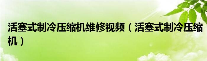 活塞式制冷压缩机维修视频（活塞式制冷压缩机）