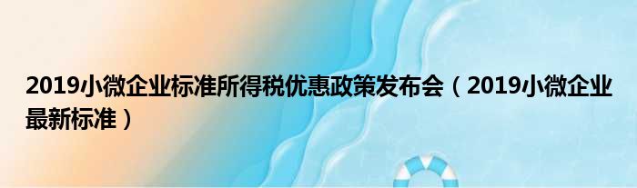 2019小微企业标准所得税优惠政策发布会（2019小微企业最新标准）