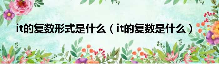 it的复数形式是什么（it的复数是什么）