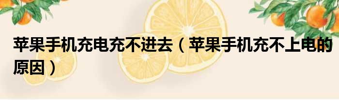 苹果手机充电充不进去（苹果手机充不上电的原因）