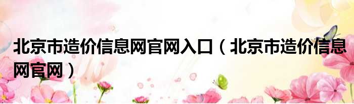 北京市造价信息网官网入口（北京市造价信息网官网）