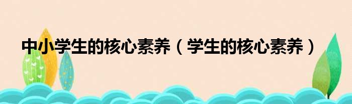 中小学生的核心素养（学生的核心素养）