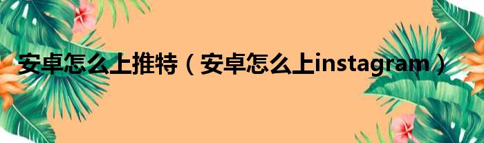 安卓怎么上推特（安卓怎么上instagram）