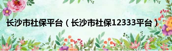 长沙市社保平台（长沙市社保12333平台）