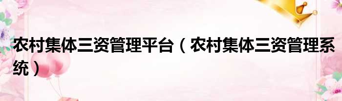 农村集体三资管理平台（农村集体三资管理系统）