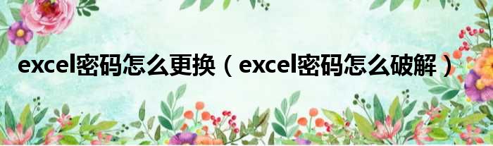 excel密码怎么更换（excel密码怎么破解）