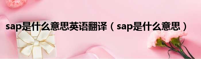 sap是什么意思英语翻译（sap是什么意思）