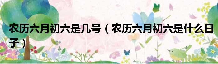 农历六月初六是几号（农历六月初六是什么日子）