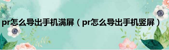 pr怎么导出手机满屏（pr怎么导出手机竖屏）