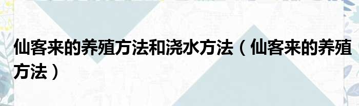 仙客来的养殖方法和浇水方法（仙客来的养殖方法）