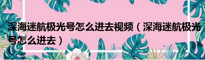 深海迷航极光号怎么进去视频（深海迷航极光号怎么进去）