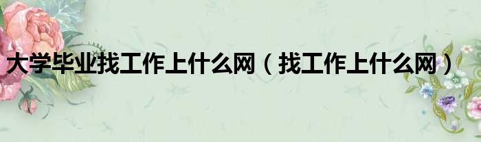 大学毕业找工作上什么网（找工作上什么网）