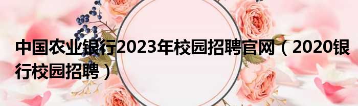 中国农业银行2023年校园招聘官网（2020银行校园招聘）