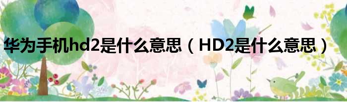 华为手机hd2是什么意思（HD2是什么意思）