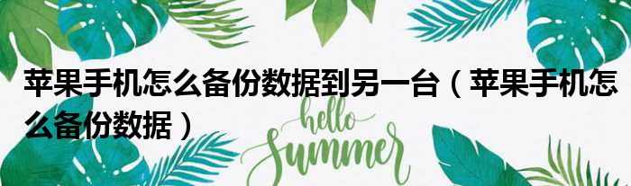 苹果手机怎么备份数据到另一台（苹果手机怎么备份数据）